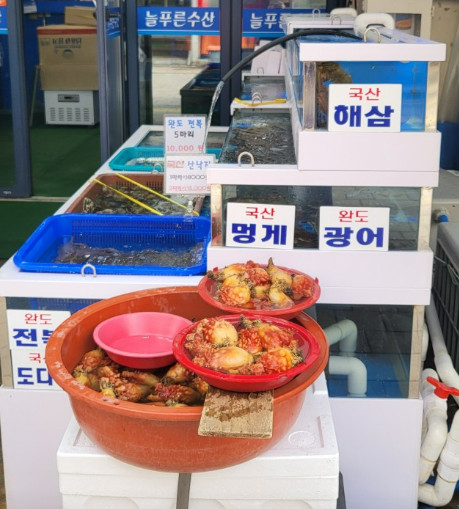 6시내고향 하남덕풍시장 오징어물회 도다리물회