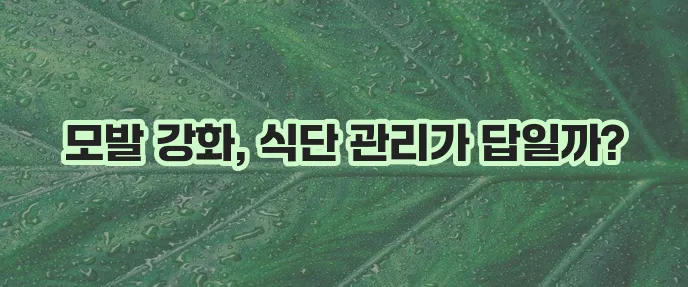 머리카락 굵어지는 방법과 좋은 음식 꼭 알아봐야겠네요!