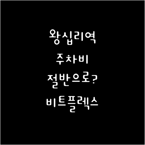 왕십리역 주차비 아끼는 법 비트플렉스..