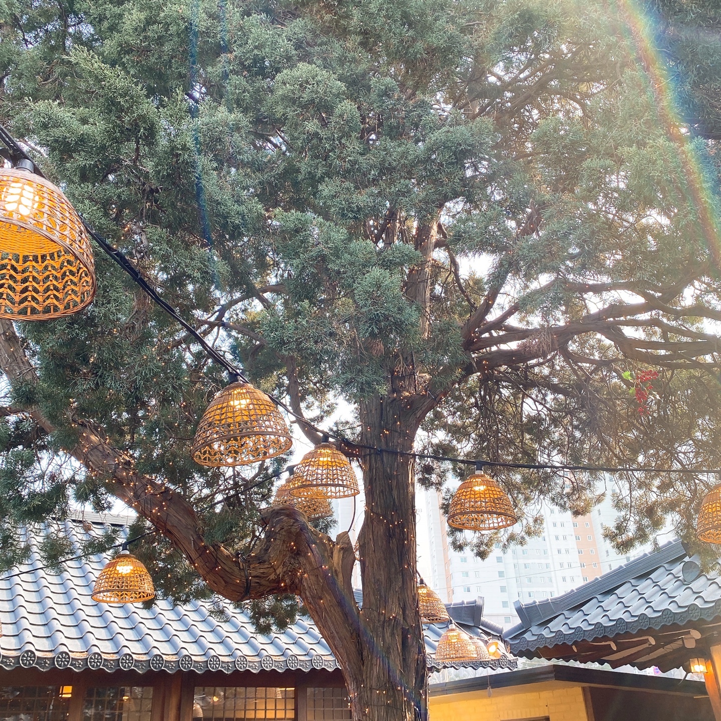 용인 기흥호수공원 한옥 개조카페 고매커피