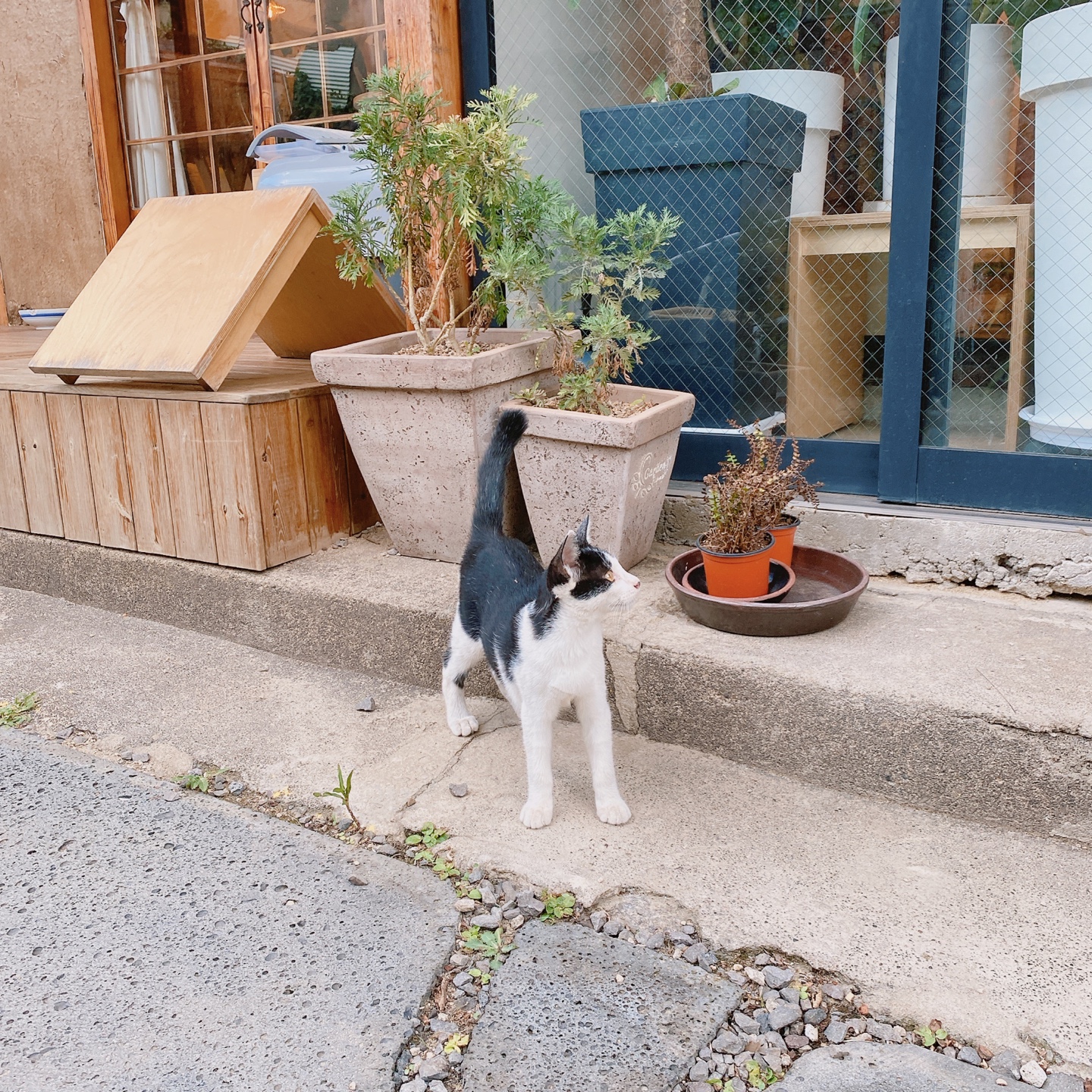 제주 동문시장 주택 구옥개조 북카페 무화과한입