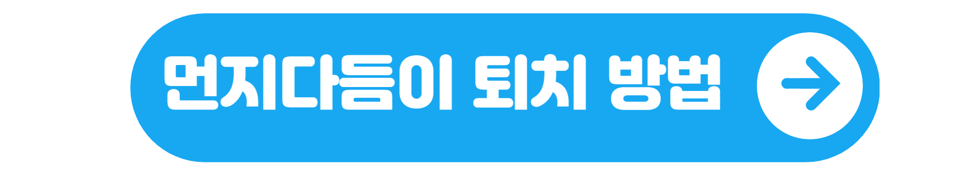 먼지다듬이 벌레