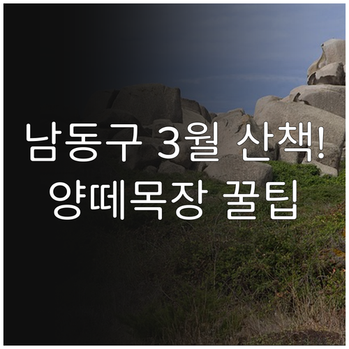 아이와 함께 가기 좋은 남동구 3월 ..