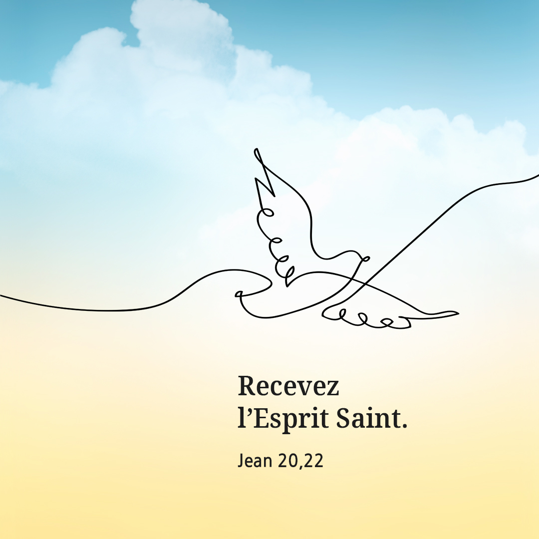Recevez l’Esprit Saint. (Jean 20,22)