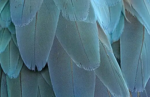 아빠 육아휴직 장려금 신청 방법