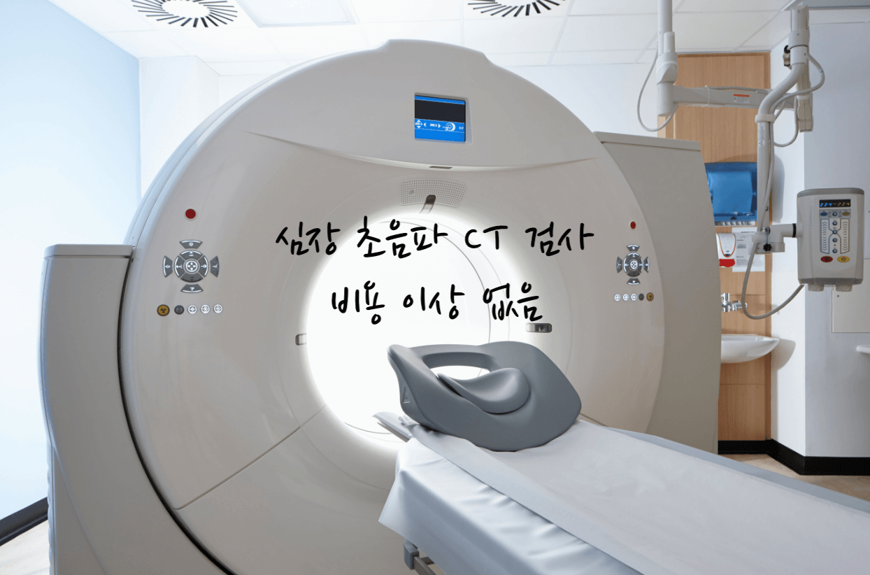심장 CT
