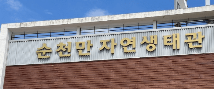 가을여행지 순천만습지