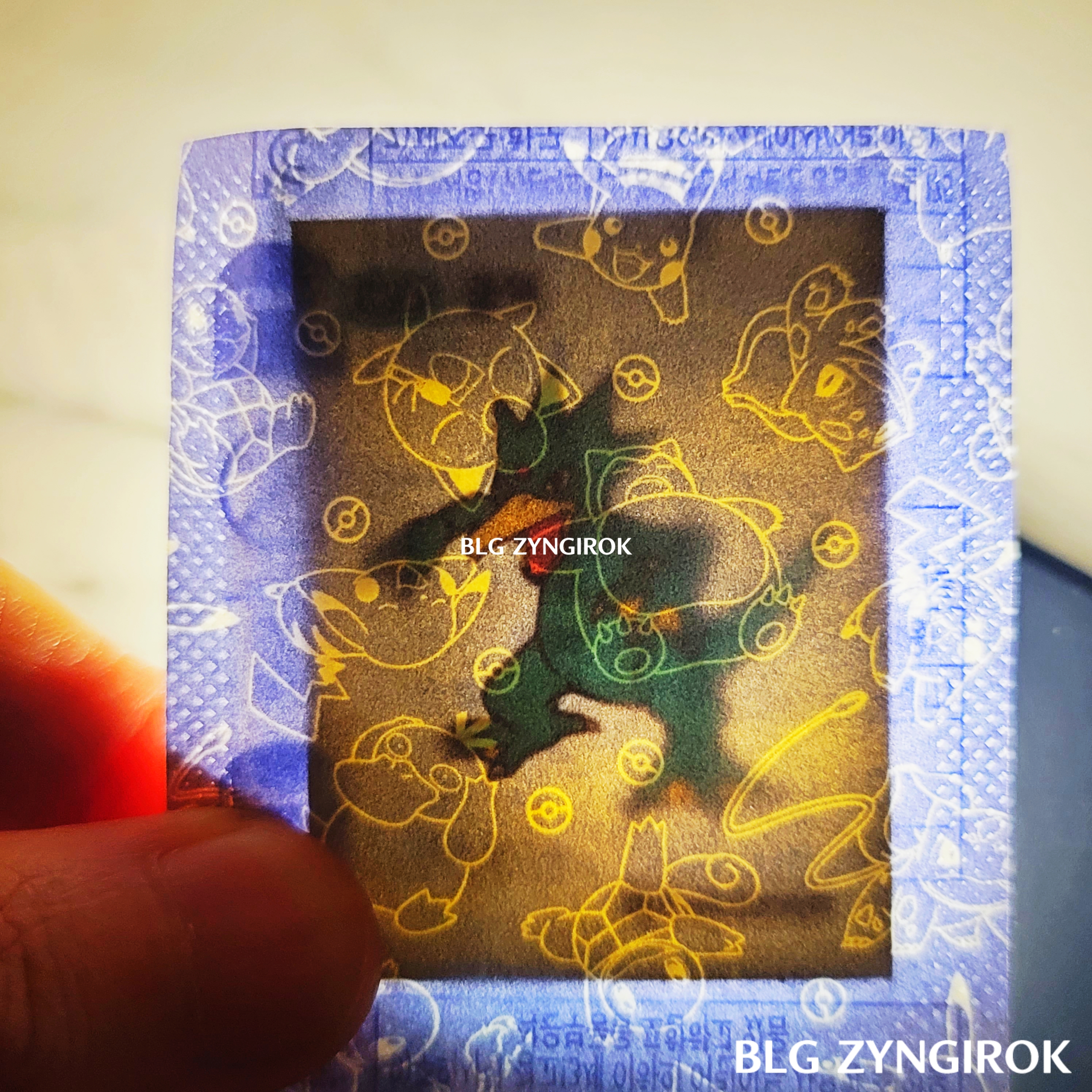 띠부띠부씰-골덕을-들고있다.