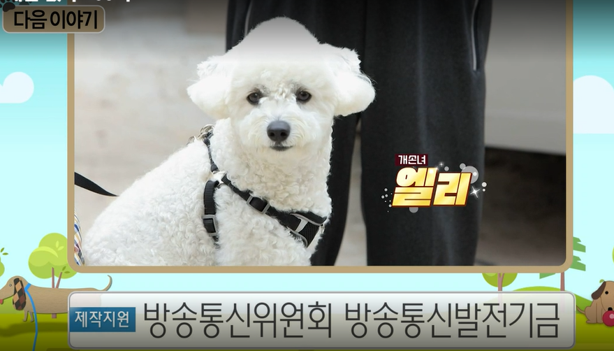 세상에-나쁜-개는-없다-다음-이야기