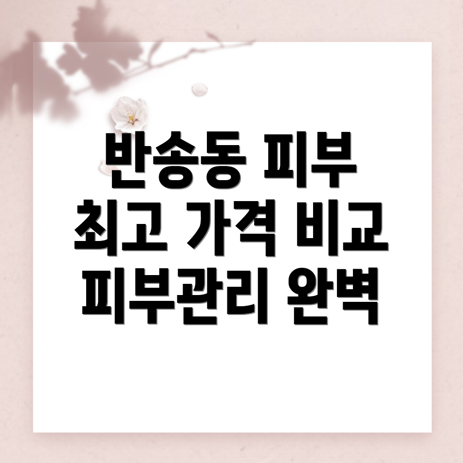 화성시 피부관리실 가격