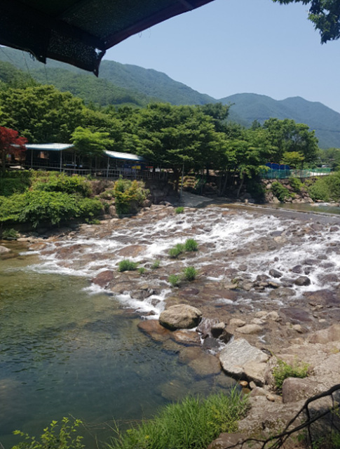 광양계곡 식당 산장 추천 닭구이 바비큐 사진 여행