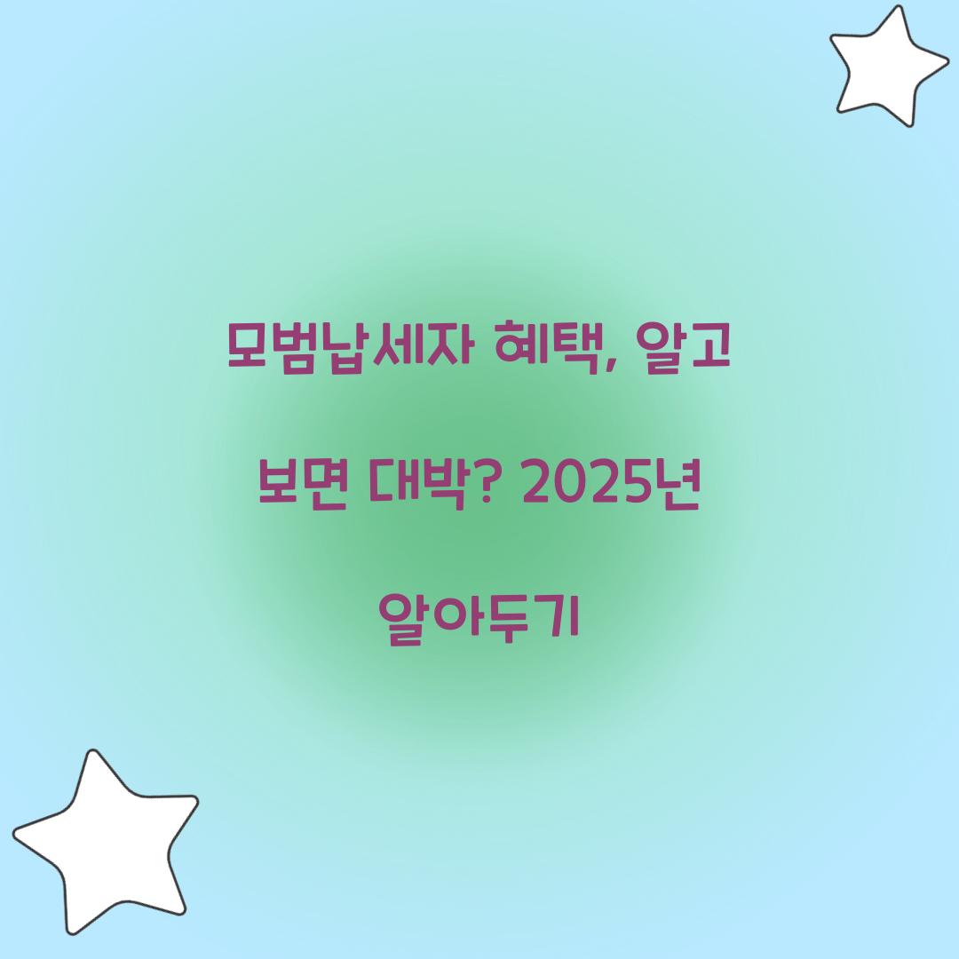 모범납세자 혜택