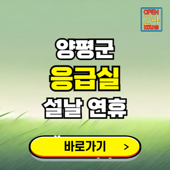 양평군 설날 연휴 비상진료 응급실 병원 찾기 ❘ 내근처 24시 야간 심야 휴일 가능한 곳