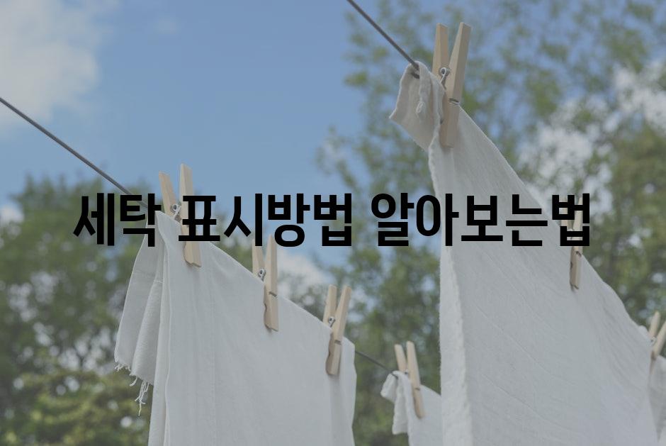 Laundry 2