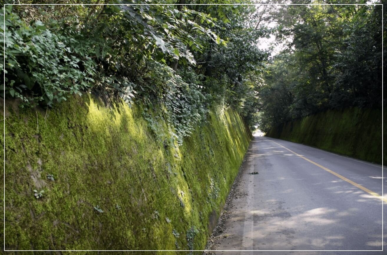 단양 가볼만한곳 베스트10 이끼터널