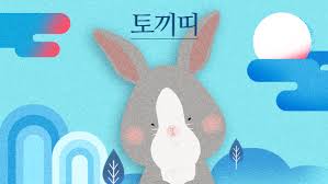 2026년 돼지띠 삼재 해를 이겨내는 5가지 팁
