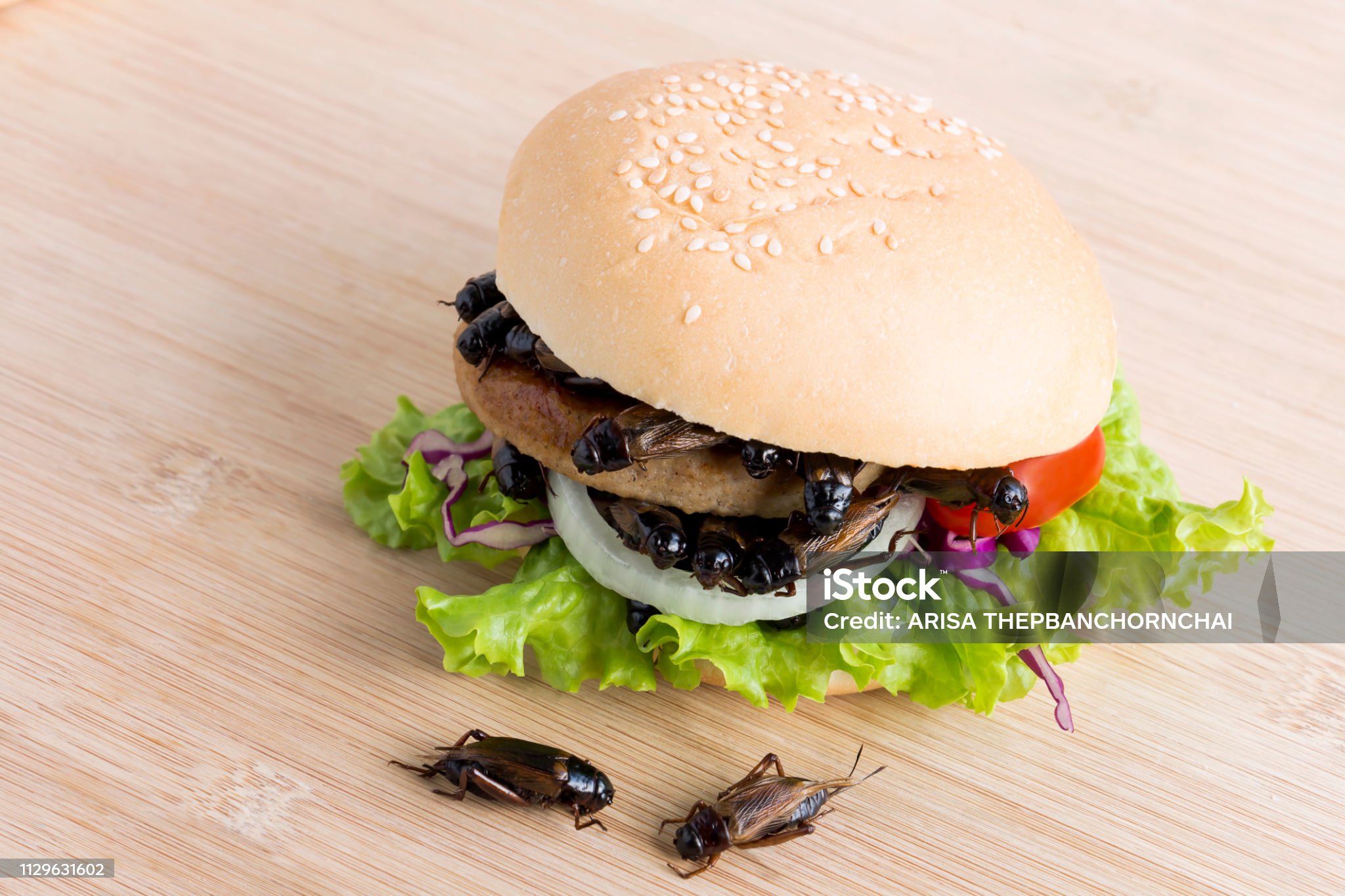 곤충 식품 산업의 미래, 곤충으로 만든 햄버거도 가능할까?