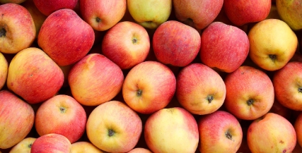 장건강에 좋은 음식 7가지 중 사과