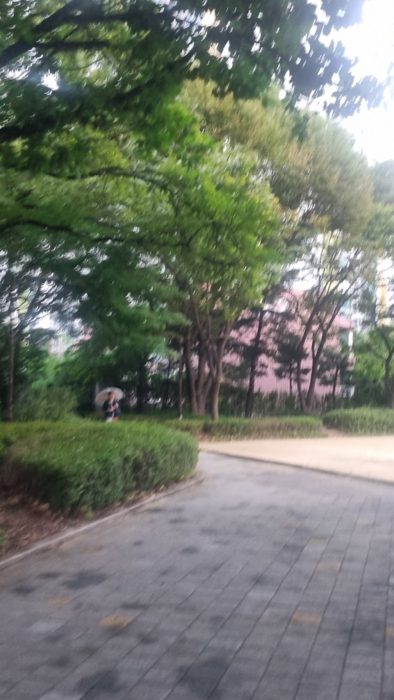 종달새 공원