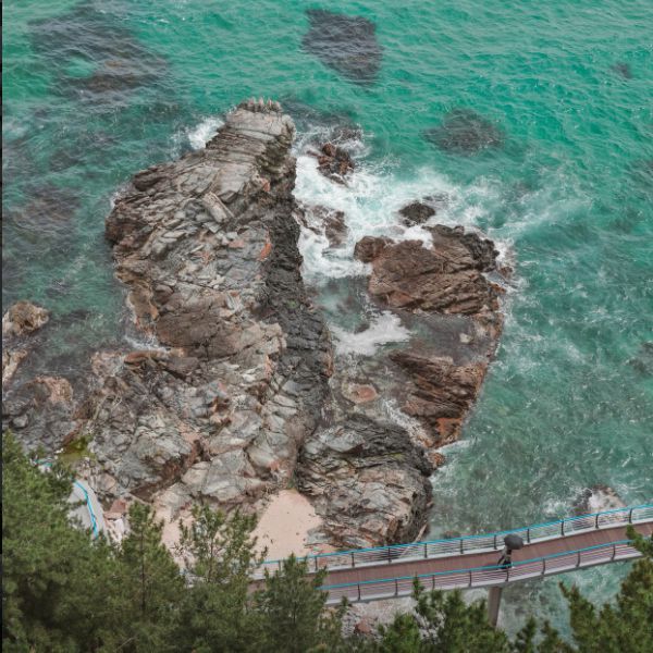 정동진조각공원