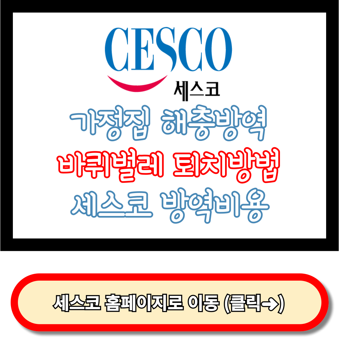 세스코 가정집 가격, 바퀴벌레 퇴치방법, 세스코 방역비용