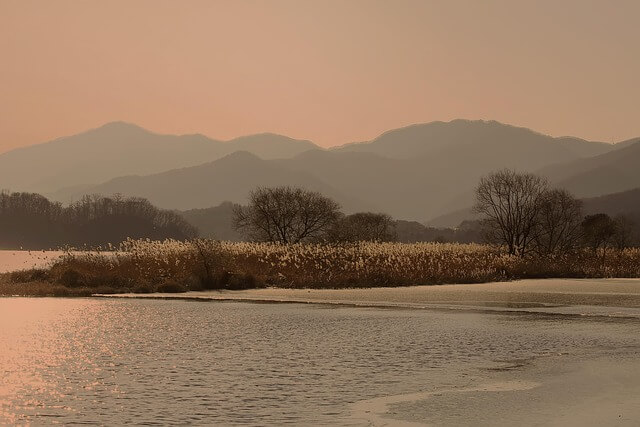 서울 근교 가볼만한곳 세미원