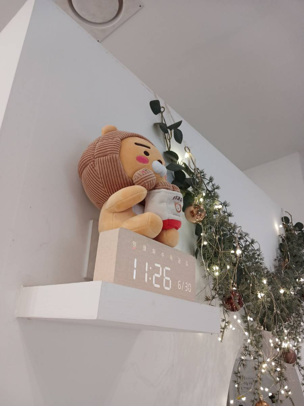 호두당 앨리웨이 라이언시계