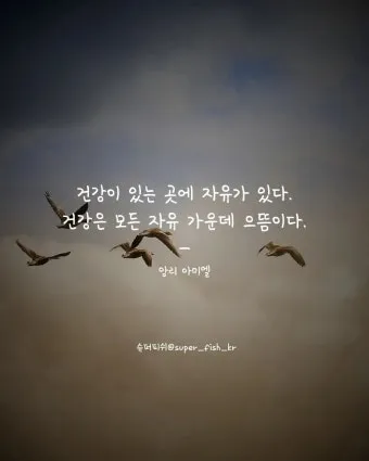 아미엘의 생애 명언 인생 속담_6