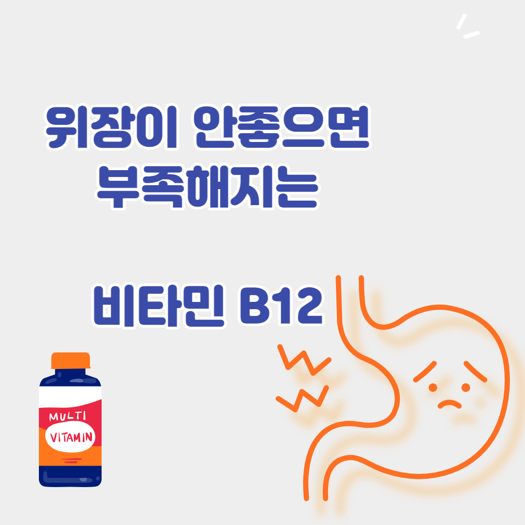 위가 안 좋으면 부족해지는 비타민 B12 코발라민