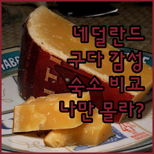 나만 알고 싶은 네덜란드 구다 감성 ..