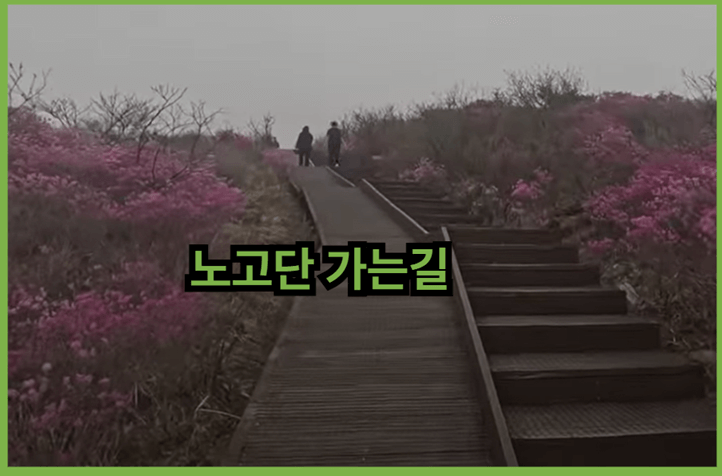 지리산 쉬운코스 노고단