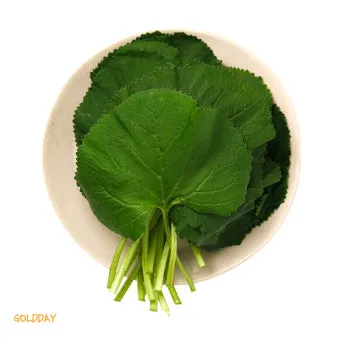 곰취 먹는방법 쌈 무침 장아찌 만드는법 요리 데치는방법_14