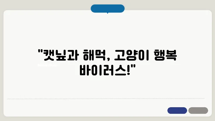캣닢과 해먹으로 고양이의 즐거움을 더하자