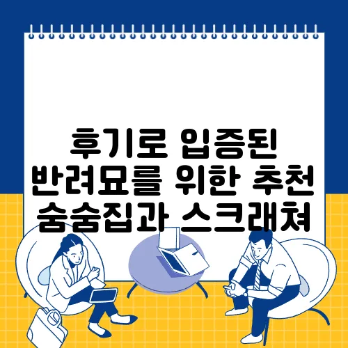 후기로 입증된 반려묘를 위한 추천 숨숨집과 스크래쳐, 정말 필요합니다!