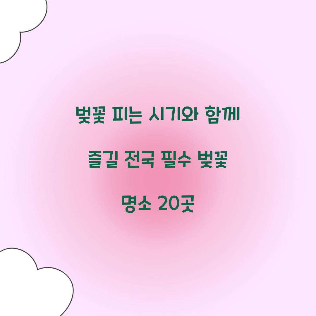 벚꽃 피는 시기