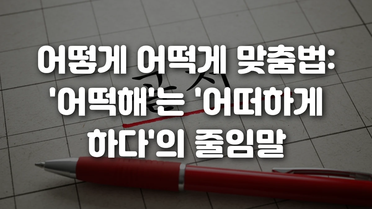 어떻게 어떡게 맞춤법 어떡해 는 어떠하게 하다 의 줄임말