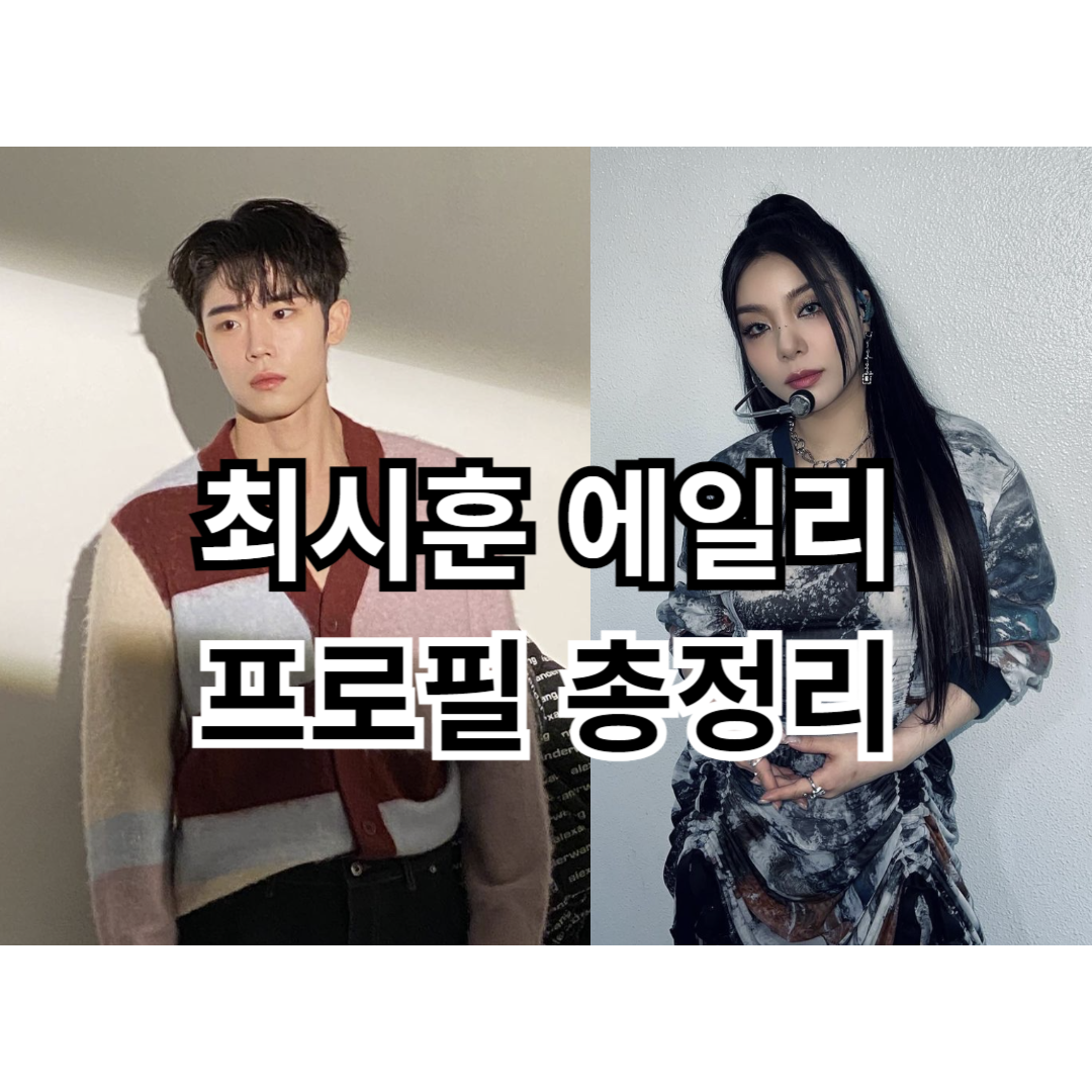 최시훈 에일리 프로필 총정리