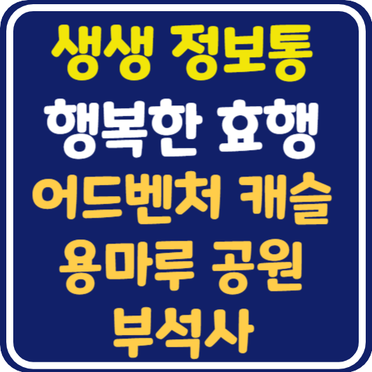생생 정보통 영주 어드벤처 캐슬, 용마루 공원, 부석사 정보 안내 : 행복한 효행 할까요?
