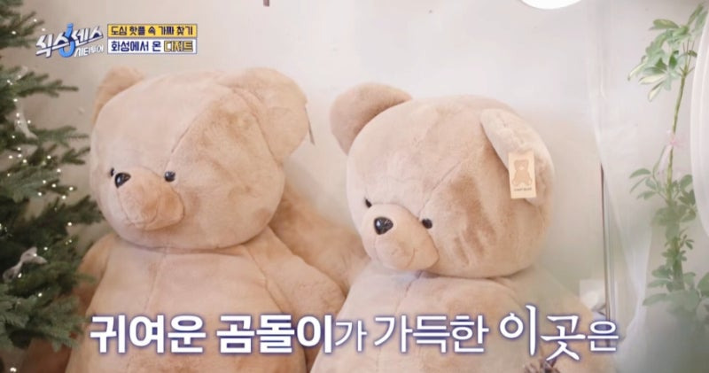 식스센스 시티투어 화성에서 온 디저트 집, 75cm 롱 파르페 맛집 &lsquo;모구야미&rsquo;