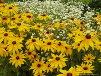 익산 아가페 정원