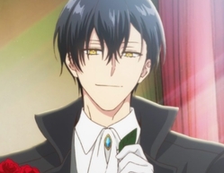 노아 벌스테어 윈나이트