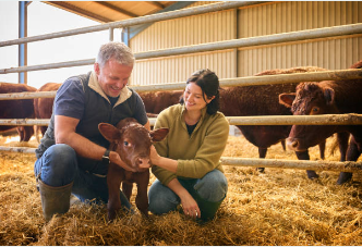 공익직불금 신청자격