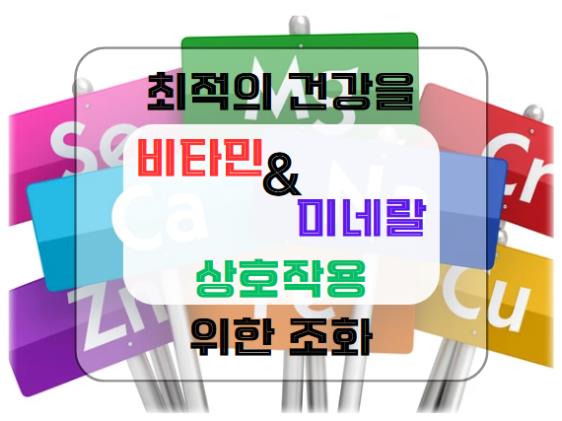 비타민과 미네랄의 상호작용: 최적의 건강을 위한 조화