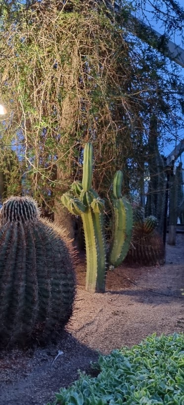 가든스 바이 더 베이 플라워 돔