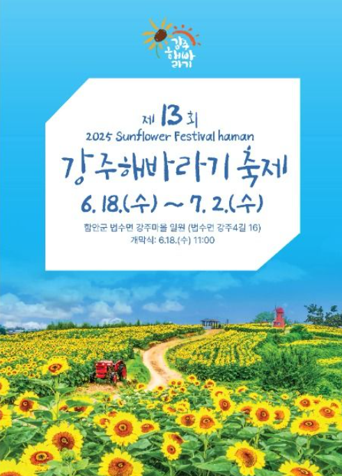 강주마을 해바라기축제 완전정복: 해바라기, 백일홍, 박터널, 가족 추천