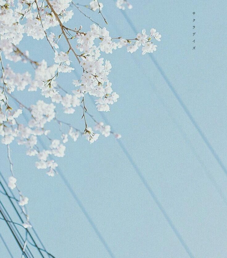 부산 근교 가족탕 온천 