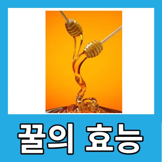 꿀의 효능 감기 꿀