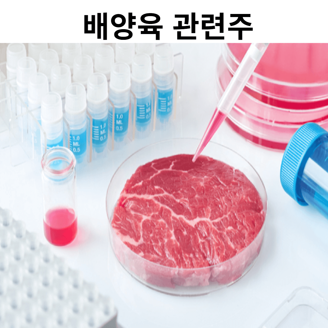 배양육 관련주