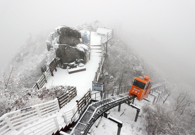대봉산 모노레일 설국 함박