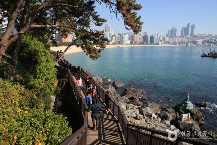 해운대해돋이 동백섬